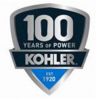 Конференция для мастер-дистрибьюторов продукции KOHLER-SDMO прошла в онлайн-формате