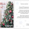 CSVT: Поздравляем с наступающим Новым годом!
