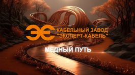 Встреча генерального директора КЗ "ЭКСПЕРТ-КАБЕЛЬ" со студентами