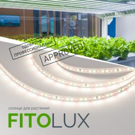 Светодиодная лента FITOLUX от Arlight — одобрено специалистами