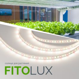 Новая светодиодная лента FITOLUX от Arlight — для выращивания растений